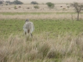 P1170865