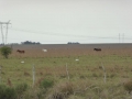 P1170868