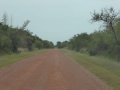 P1170902