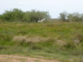 P1170996
