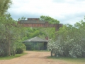 P1180011