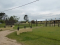 P1180057