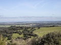 IMG_1879