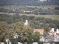 IMG_1883