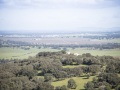 IMG_1884