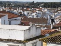 IMG_1917