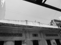 P1380503