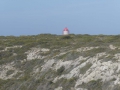 P1110710