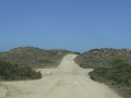 P1110758
