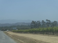 P1110853