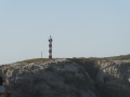 P1110946