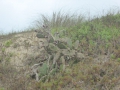 P1200797