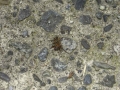 P1050153