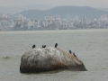 P1200459