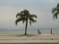 P1200463