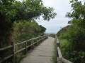 P1200110