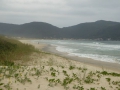 P1200352