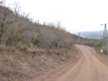 P1230669