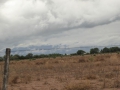 P1230788