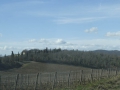 P1210166