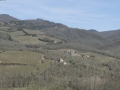 P1210182