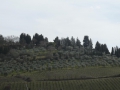 P1210200