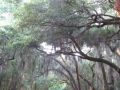 P1130132