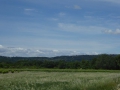 P1050376