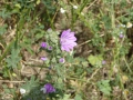 P1050378