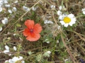 P1050382