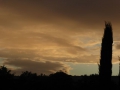 P1050554