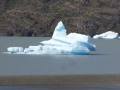 P1070622