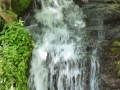 P1020059