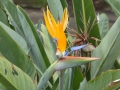 P1160439