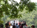 P1030909