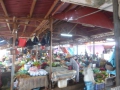 P1050787