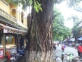 P1050799