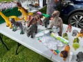 IMG_5366