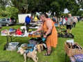 IMG_5367