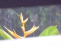 P1100047