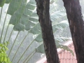 P1100050