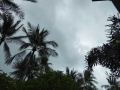 P1100075