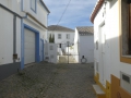 P1170306