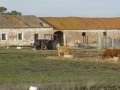P1170343