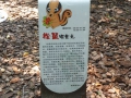 P1030669