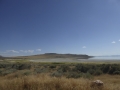 P1110501