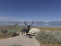 P1110507