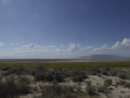 P1110520