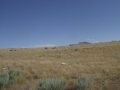 P1110529