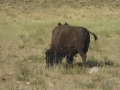 P1110576
